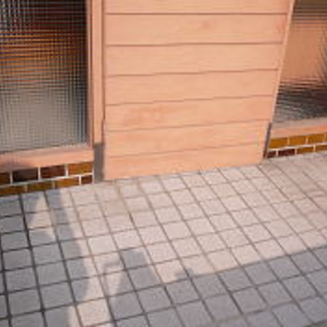の画像