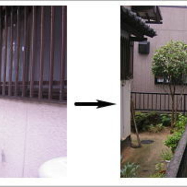 の画像