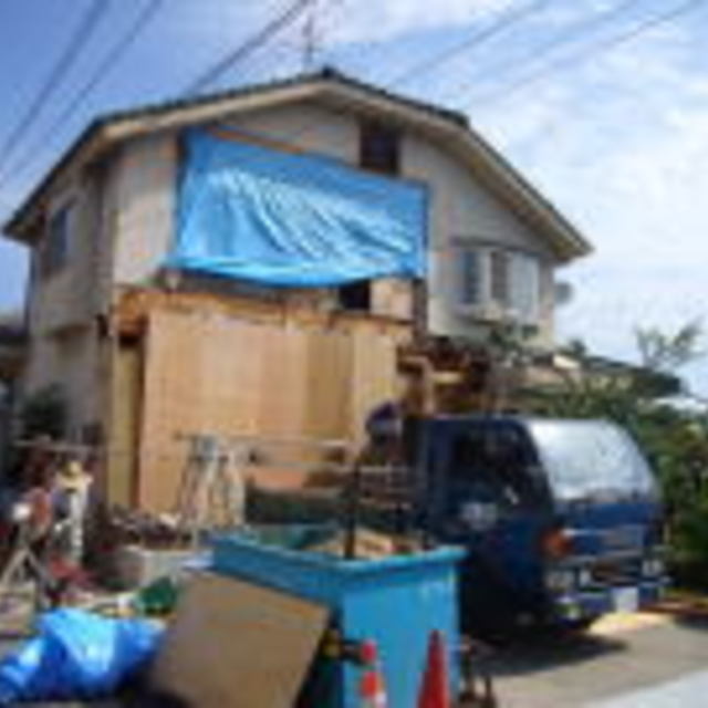 の画像