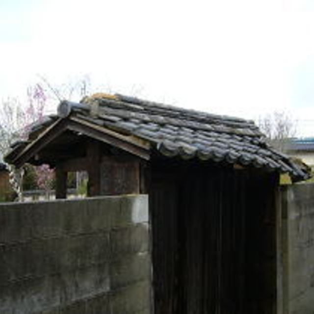 の画像