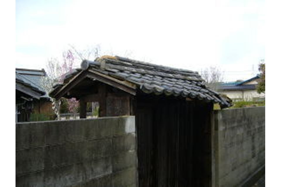 の画像