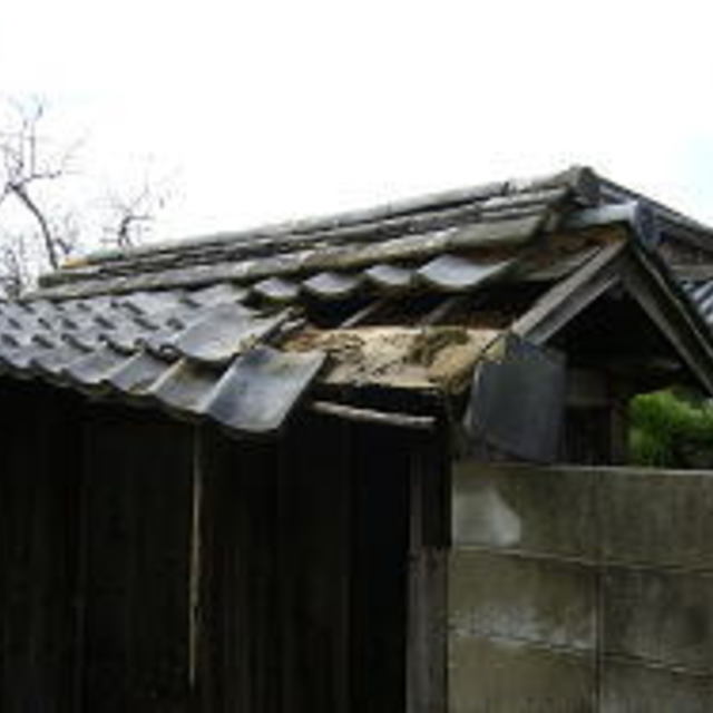 の画像