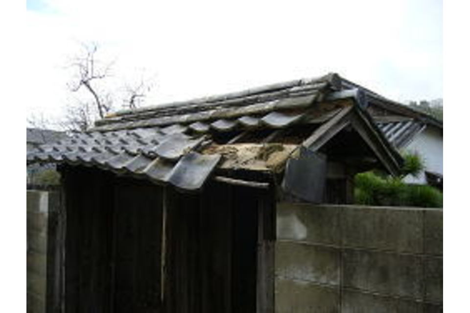 の画像