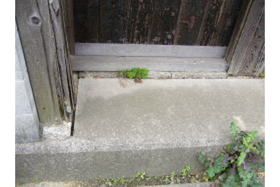 の画像