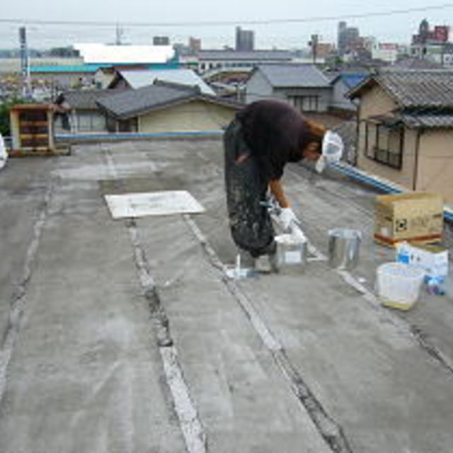 の画像