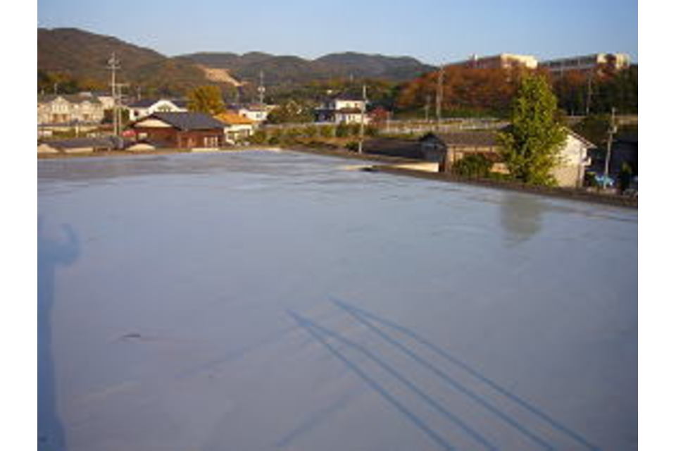 の画像