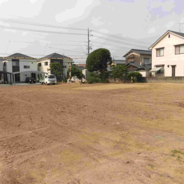 の画像