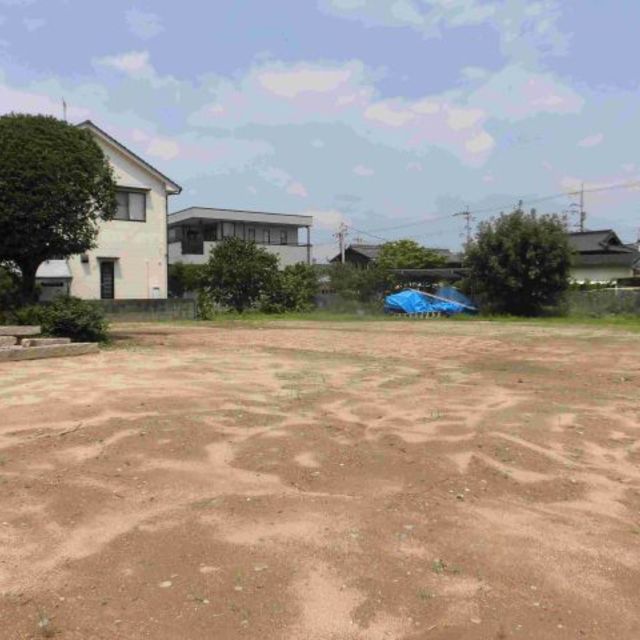 の画像